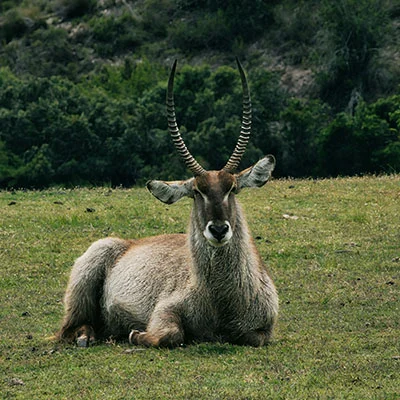 V2ray 推荐 - 1月14日19.1M/S|免费Singbox节点/Clash节点/Shadowrocket节点/SSR节点/V2ray节点节点推荐，V2rayC梯子购买推荐